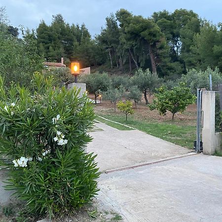 Askalosia Villa Агиос Георгиос Екстериор снимка