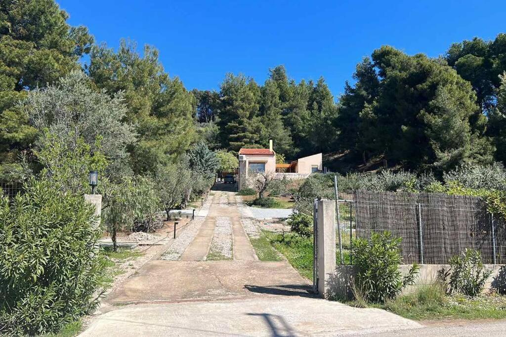 Askalosia Villa Агиос Георгиос Екстериор снимка
